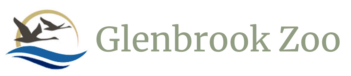Glenbrook Zoo